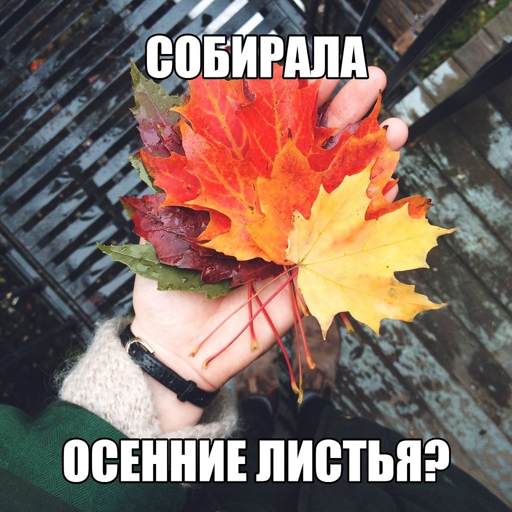   - 9  2019  03:05