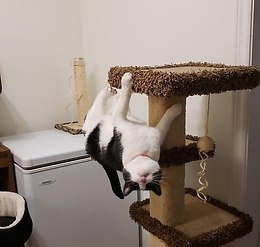 ���� - ��� ��������������� ���������� ���������� - 4