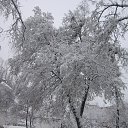 ���� ³����, ��������, 64 ���� - ��������� 31 ��� 2019 � ������ ����� 2018�