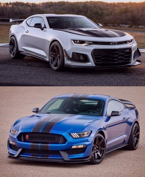 ZL1  Shlby?