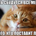���� ��������, ���, 65 ��� - ��������� 11 ������ 2019 � ������ ������ ��������