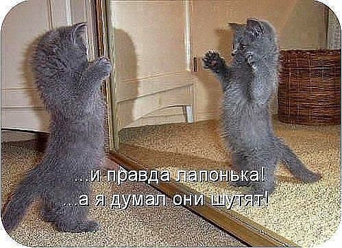 ������� - 9 ������ 2019 � 16:12