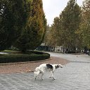 ���� Irina, ������ - ��������� 17 ������ 2019 � ������ ������-C�������-������� ������ 2019�