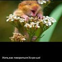 ���� ����, �����-���������, 64 ���� - ��������� 7 �������� 2019 � ������ ���� ����������