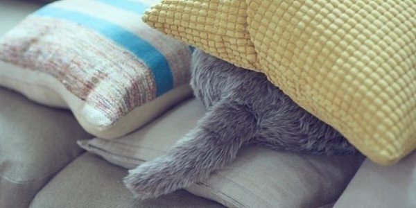 Подушка-робот, создана для людей, которым родители не разрешают заводить кота. Подушка умеет ... - 3