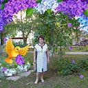 ���� �������, ������, 73 ���� - ��������� 2 ���� 2019 � ������ ���� ����������