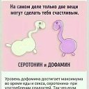 ���� �������, ���������, 64 ���� - ��������� 24 ���� 2019 � ������ ������ ��������