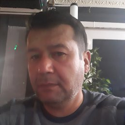 ������, ������, 54 ����