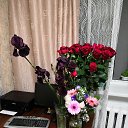 ���� �������� !!! �� ������� ���� ����������