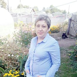 �������, ������, 46 ���