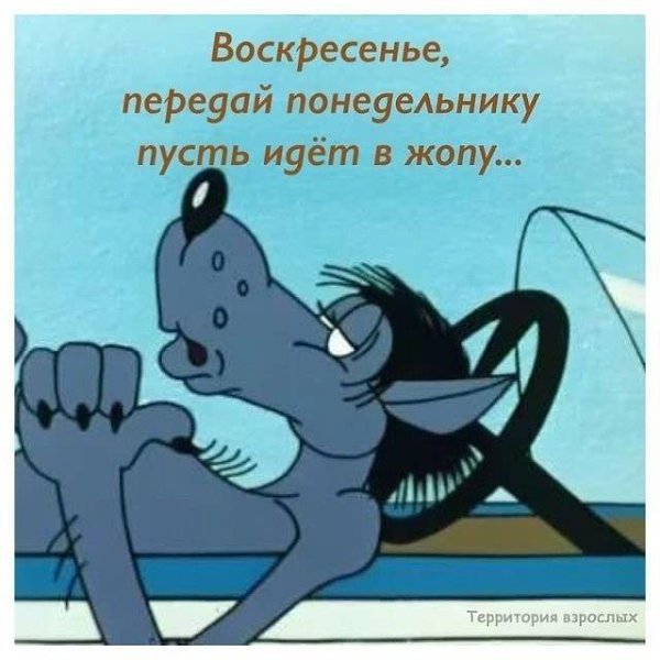 ✿ܓ☘ ������ ☕ ◕‿◕ ☕ ��������.☘ ✿ܓ - 13 ������� 2019 � 08:40
