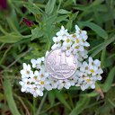 ���� ������, ��������, 58 ��� - ��������� 18 ������� 2019 � ������ �������