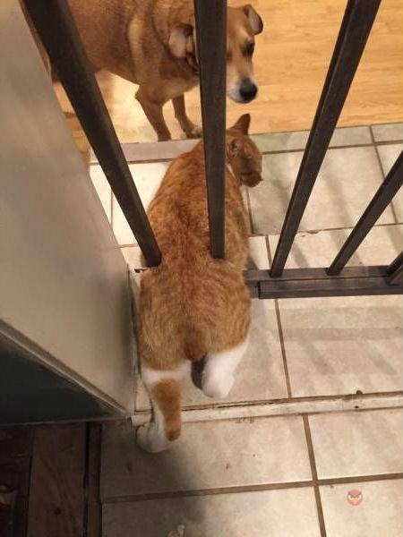 �������, ��� �� �����? �������...