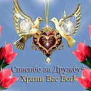 ���� ����, ������� - ��������� 8 ���� 2019 � ������ ���� ����������
