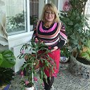 ���� �������, ���������� �����, 65 ��� - ��������� 7 ������ 2019 � ������ ���� ����������