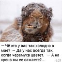 ���� �������, ����� - ��������� 7 ��� 2019 � ������ ������ ��������