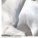 ���� ������, ���� - ��������� 8 ������� 2019 � ������ ���� ����������