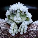 ���� Asck, ����������, 65 ��� - ��������� 20 ���� 2019