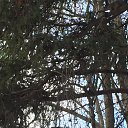 ���� ����, �����������, 50 ��� - ��������� 6 ������ 2019 � ������ ������������� ���