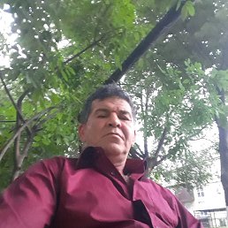 ���� �������, ����������, 58 ��� - ��������� 30 ���� 2019