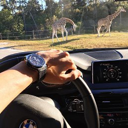 Tevekkul, ����, 38 ���