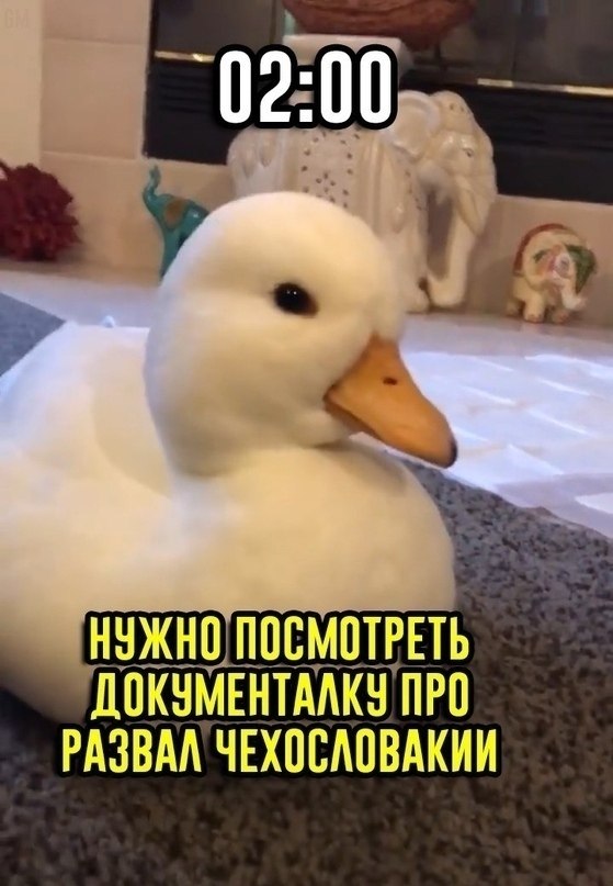 ��o �� � �a���� �e��! - 7