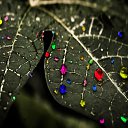 ���� ������, ������, 26 ��� - ��������� 16 ������� 2019 � ������ ���� ����������