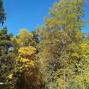 ���� ������, �������, 43 ���� - ��������� 16 ������� 2019