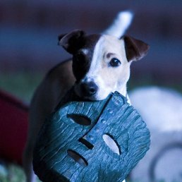 ���� ����, �����, 47 ��� - ��������� 23 ������� 2019