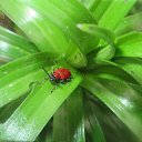  ,  -  16  2019      2019