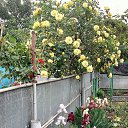 ���� �������, ���������, 61 ��� - ��������� 21 ���� 2019 � ������ ���� ����ۻ