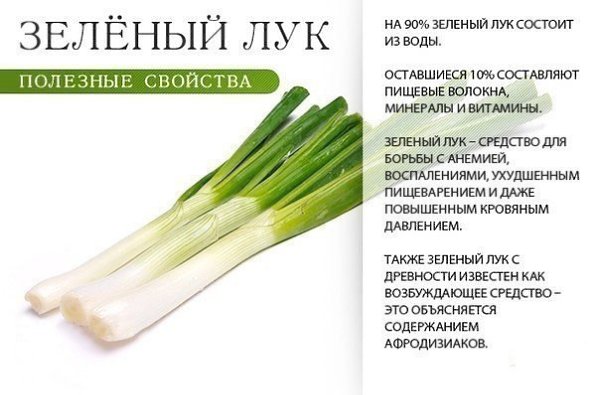 Такая полезная зелень! Сохраняем, узнаем больше о полезных свойствах продуктов - 4