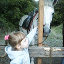 ���� �������, �����������, 74 ���� - ��������� 22 ���� 2019 � ������ ���� ����������