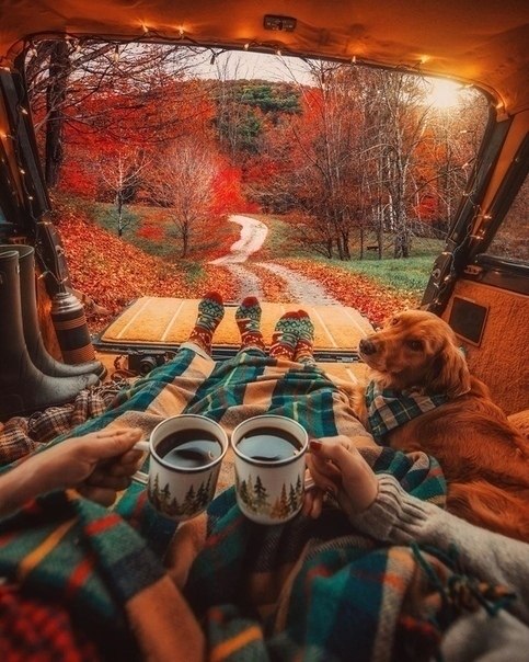 ������ ���� ���ok������ �����, ��� �����o�� �������� ��o�. - 3