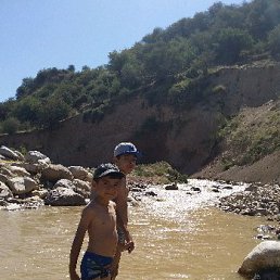 ���� �����, �������, 43 ���� - ��������� 2 ������� 2019