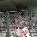 ���� �������, ��������� - ��������� 23 ������� 2019 � ������ ������ �� �������� �������