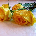���� Zara, ������������ - ��������� 30 ����� 2019 � ������ ������ ��������