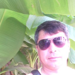 ���� ������, ����, 44 ���� - ��������� 31 ���� 2019