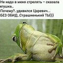 ���� ������, ���� - ��������� 5 ������ 2019 � ������ �߻