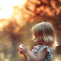 �������, ����-�����������, 51 ���