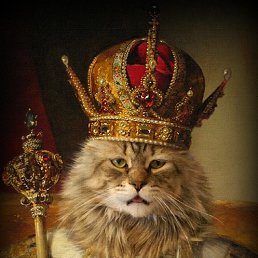 �����, ������, 62 ����