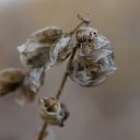 ���� ������, ������������ - ��������� 27 ���� 2019 � ������ ������ � �������������