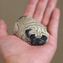 ���� ���������, �����������, 51 ��� - ��������� 13 ������ 2019 � ������ ������ ��������