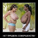 ���� ������, �������, 57 ��� - ��������� 23 ��� 2019 � ������ ������ ��������