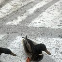 ���� ������, ���������, 52 ���� - ��������� 20 ���� 2019 � ������ ���� ����������