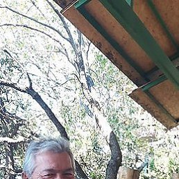 ���� ���������, ������, 64 ���� - ��������� 8 ��� 2019