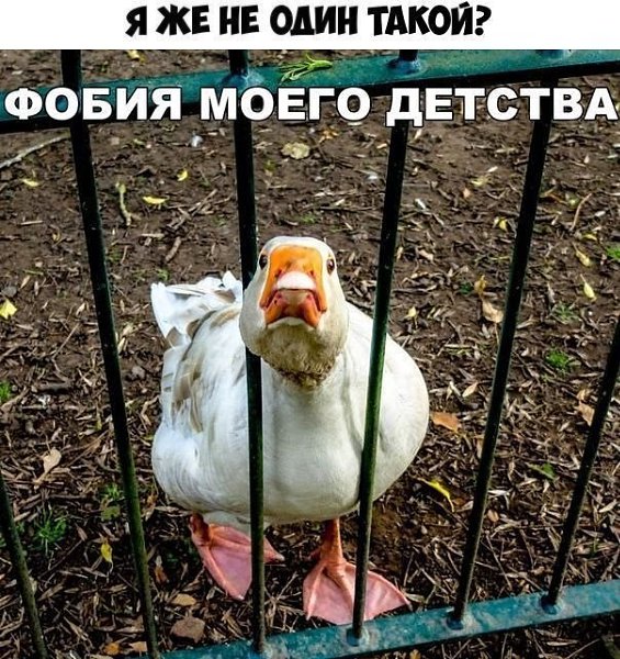    :D - 27  2019  19:28