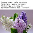 ���� ���������, ������ - ��������� 11 ���� 2019 � ������ ���� ����������