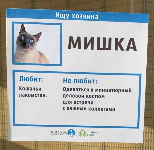        .   - 7