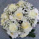 ���� Zavinta Harrinton, ������ - ��������� 5 �������� 2019 � ������ ������ ��������